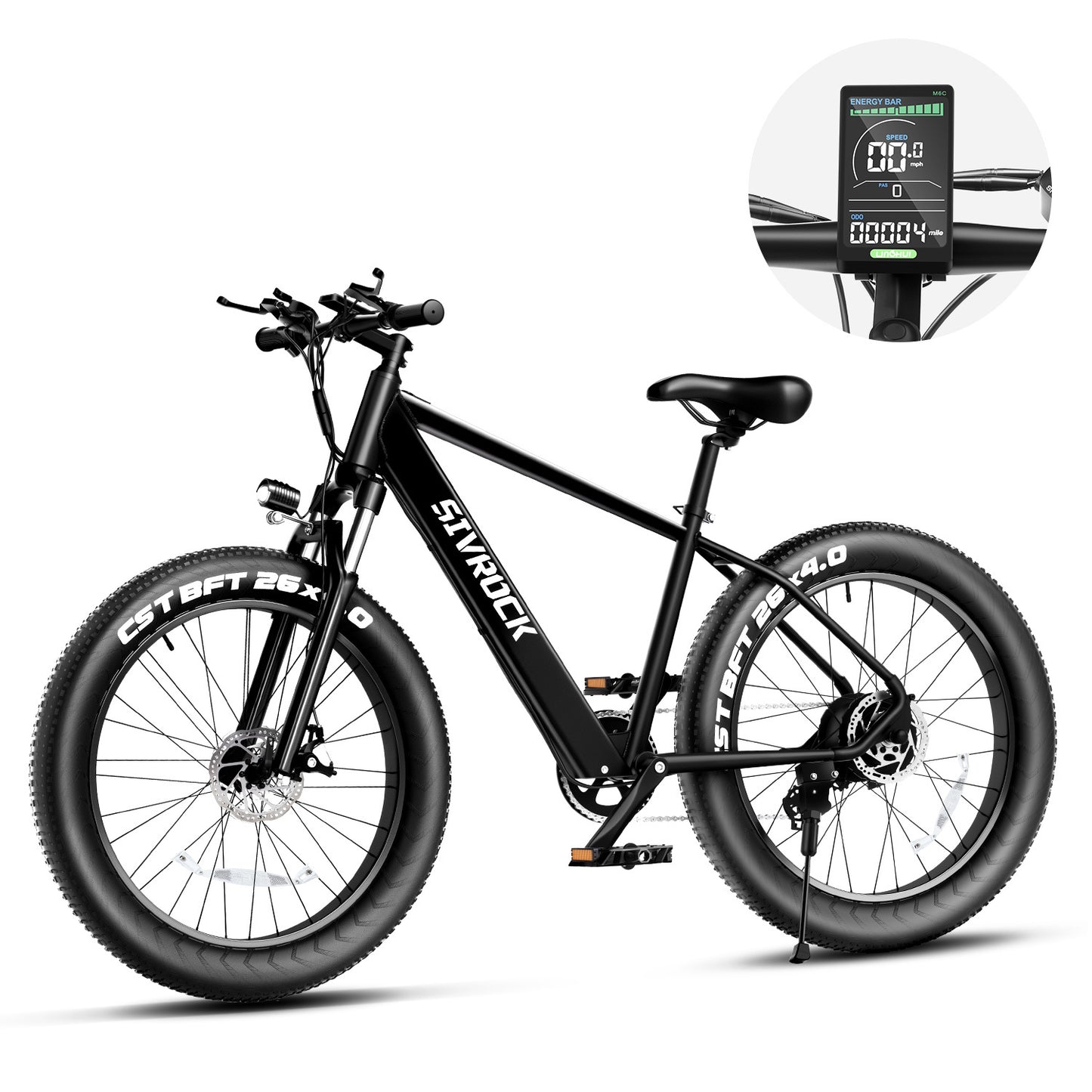 Professional Electric Mountain Bike - 1000W Motor