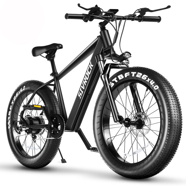 Professional Electric Mountain Bike - 1000W Motor