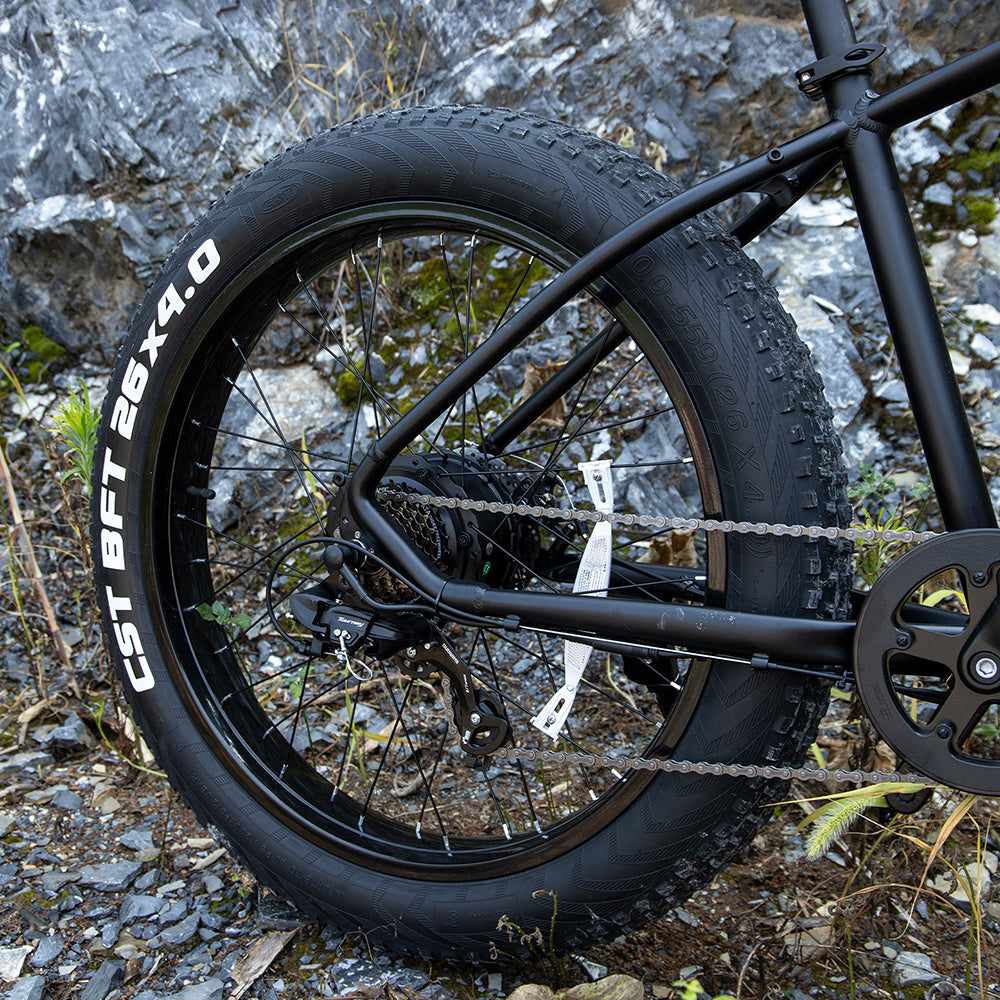 Professional Electric Mountain Bike - 1000W Motor