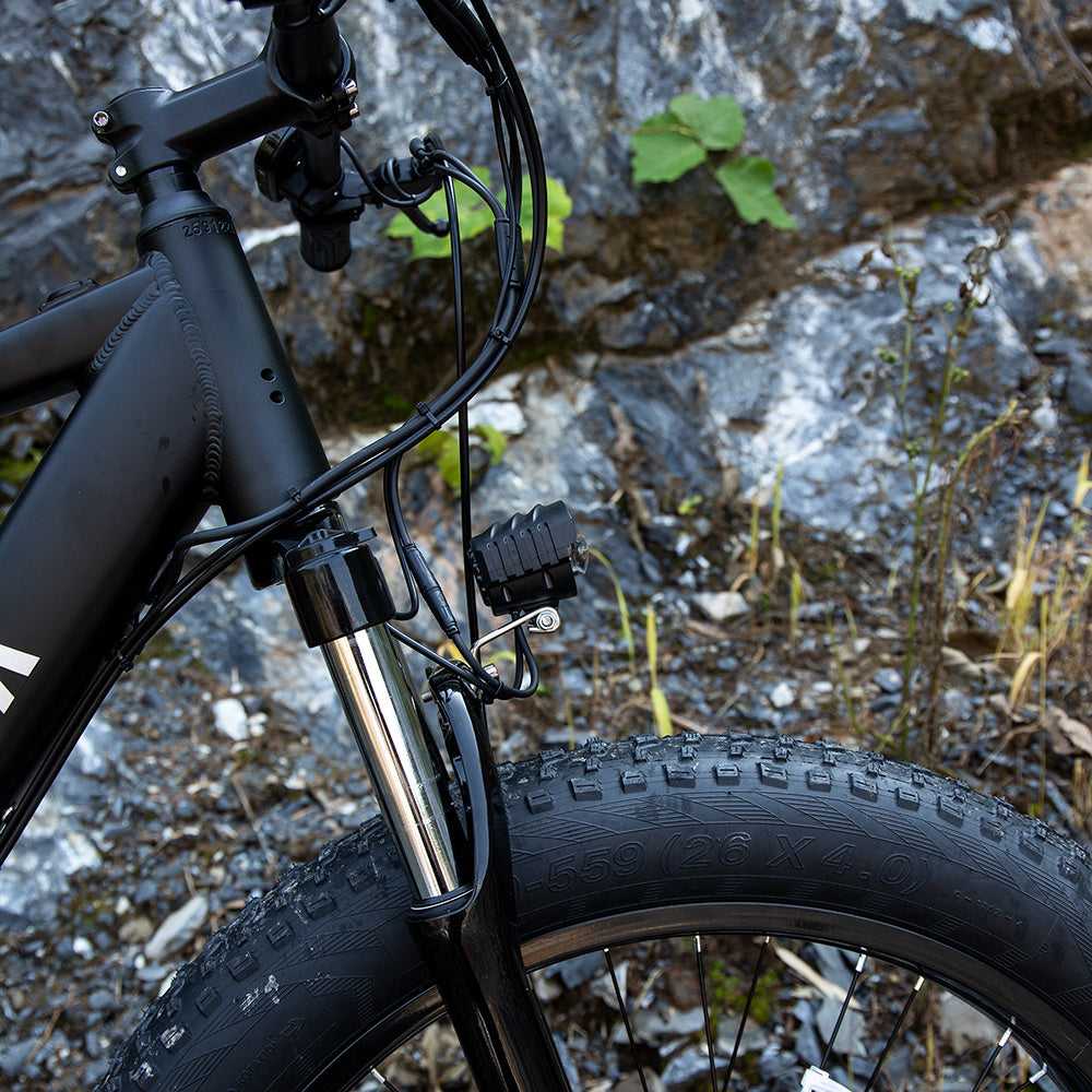 Professional Electric Mountain Bike - 1000W Motor