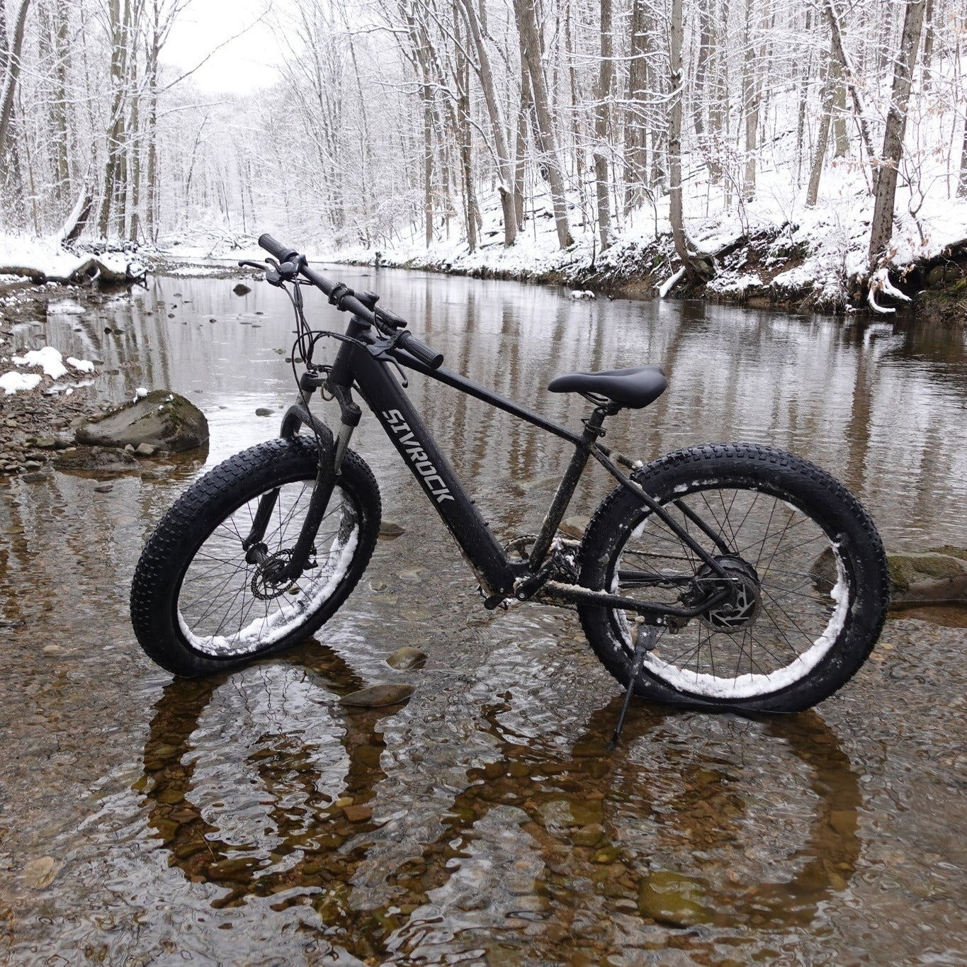 Professional Electric Mountain Bike - 1000W Motor