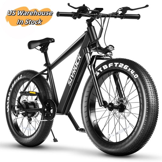 Professional Electric Mountain Bike - 1000W Motor