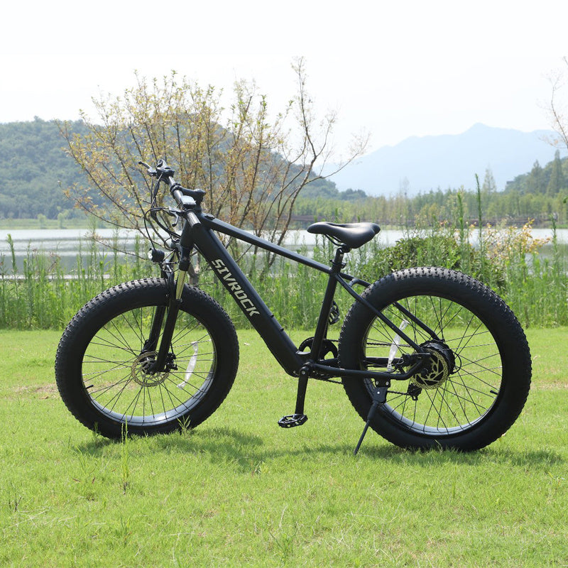Professional Electric Mountain Bike - 1000W Motor