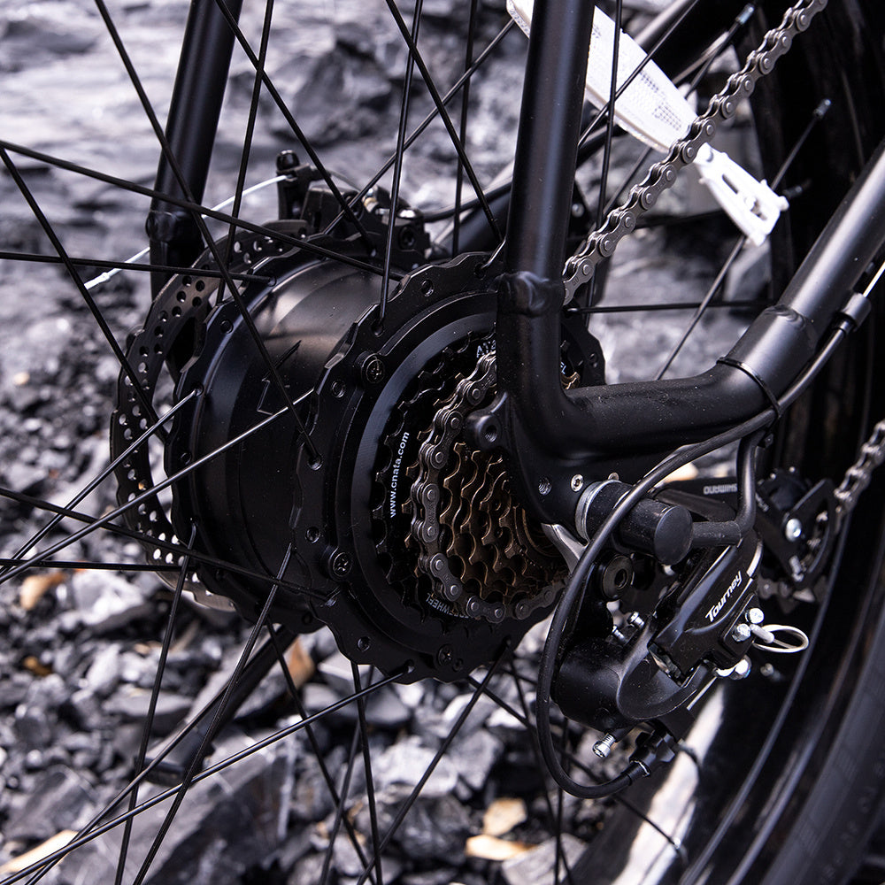 Professional Electric Mountain Bike - 1000W Motor