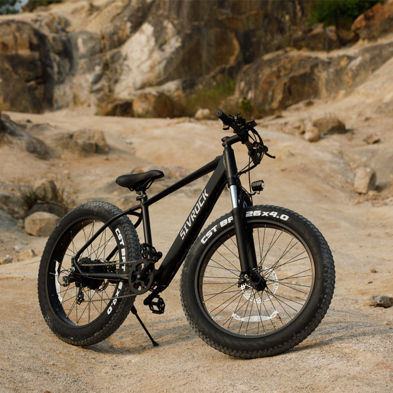 Professional Electric Mountain Bike - 1000W Motor